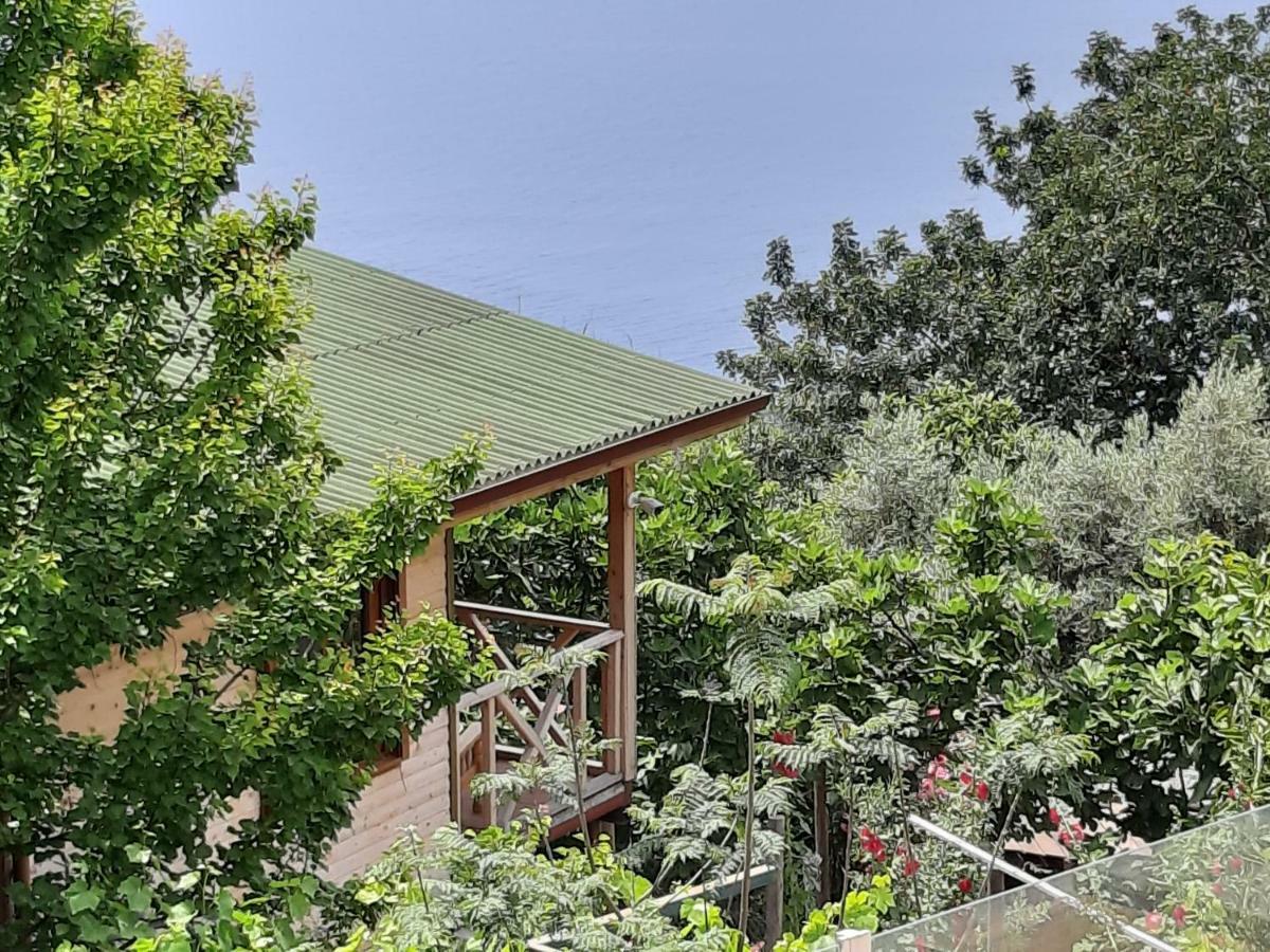 Casa Roja Cedit Exterior foto